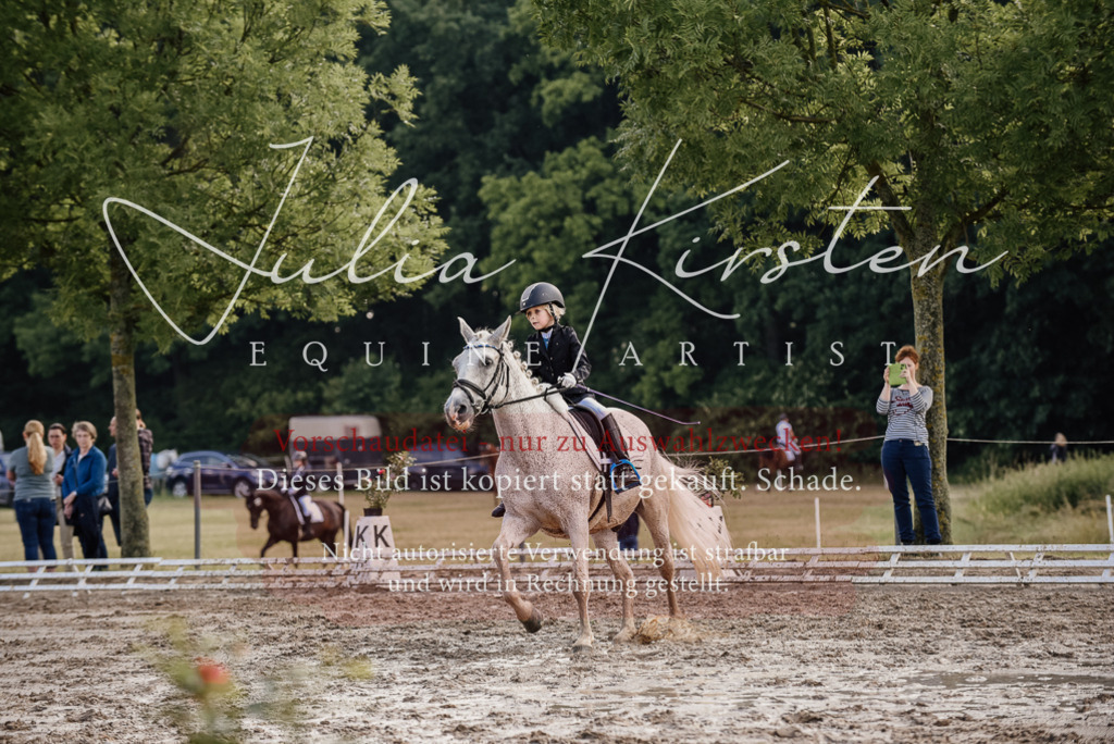 DSC_8353 | Pferde- und Turnierfotografie in Westsachsen. Pferdeportraits, Auftragszeichnungen und intuitive Kunst.