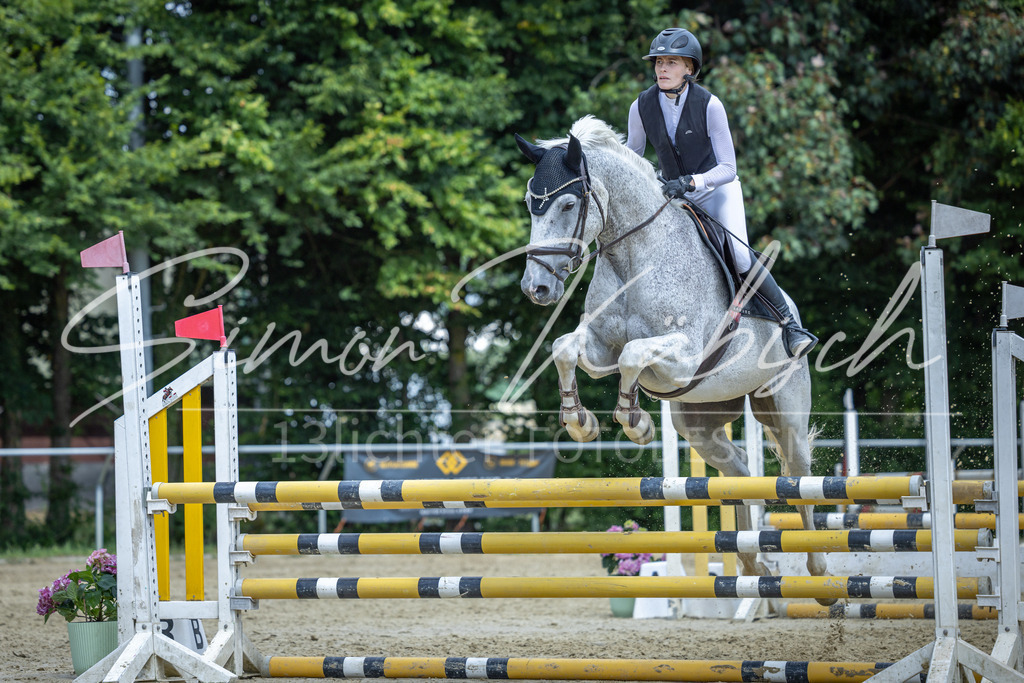 20260704-_3LI0585 | Tierfotografie Pferde, Hunde, Katzen, Haustiere.
Turnierfotografie Reitturniere, Reiten, Springreiten, Dressur in Hanau, dem Main-Kinzig-Kreis und dem Rhein-Main- Gebiet um Frankfurt