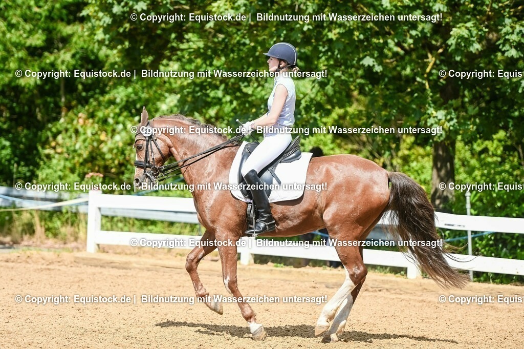 20230716_01_Dressurprüfung Kl.M_0260 | equistock