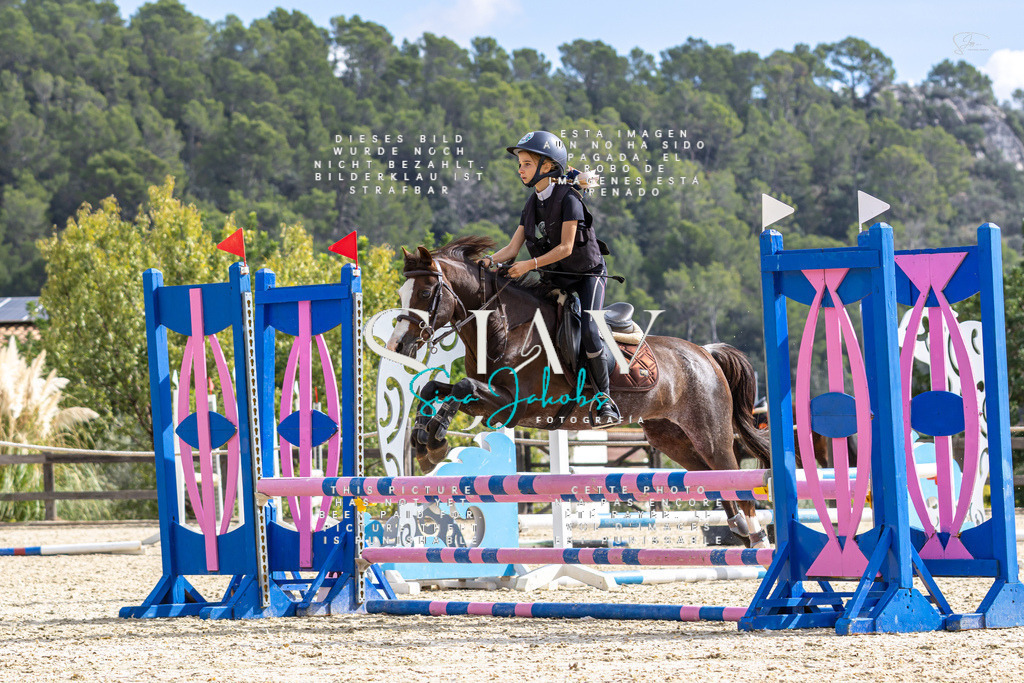 IMG_2695 | s-jay-photography - Realisiert mit Pictrs.com