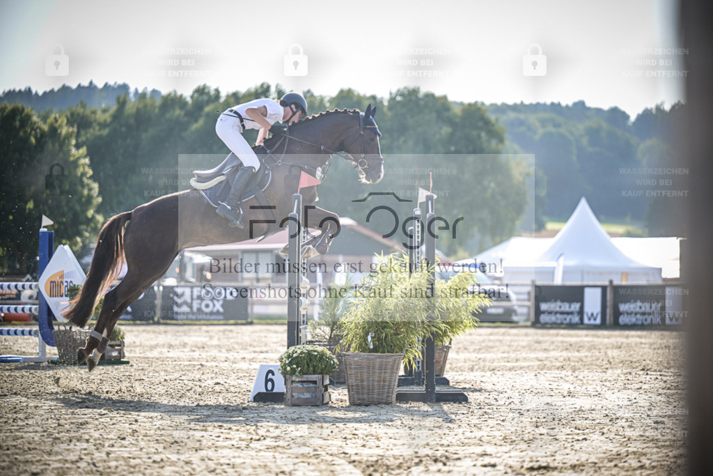 DOS_1038 | Entdecke hochwertige Reitturnierfotos von Foto Oger. Professionell, emotional und authentisch – jetzt Lieblingsmomente im Shop bestellen. - Realisiert mit Pictrs.com