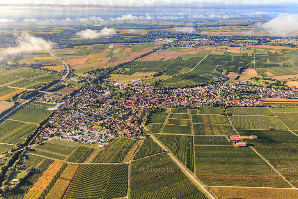 Ortsansicht aus Norden | Luftbild: Ortsansicht aus Norden in Insheim im Bundesland Rheinland-Pfalz in Deutschland. Foto: IMG_103433.jpg vom 10.09.2017 durch Werner Riehm/FLY-FOTO.de - Realisiert mit Pictrs.com