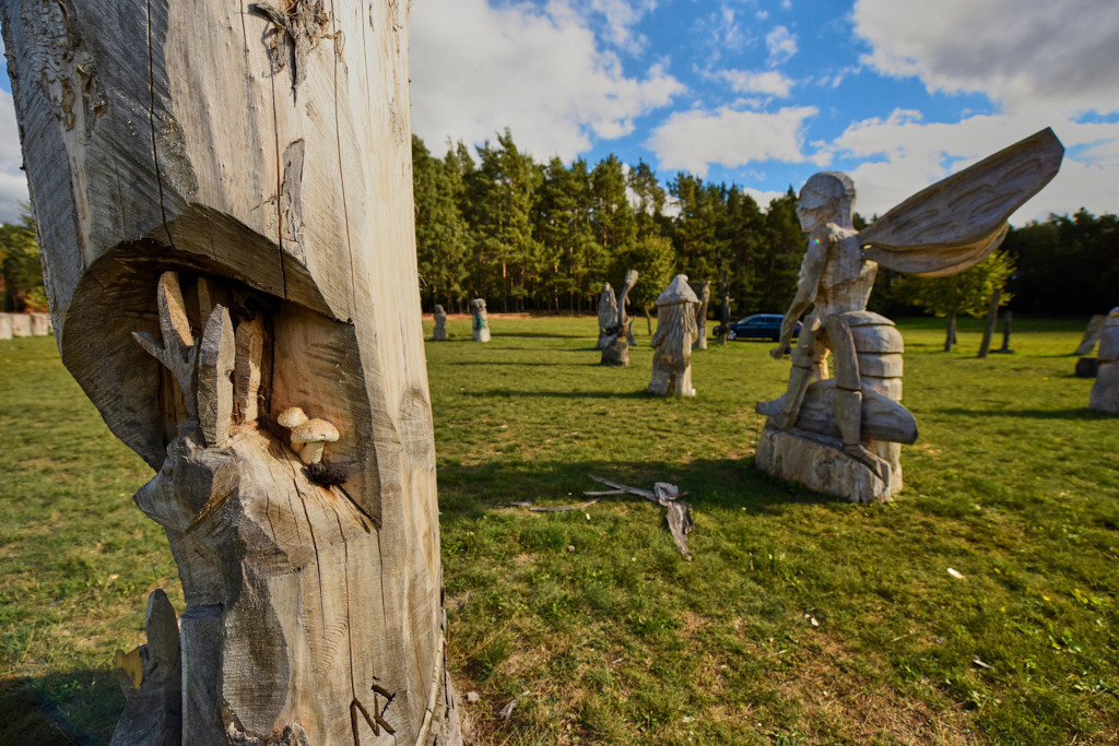 Die Holzskulpturenwiese bei Tornau_ 189_ ST | Fotos als Raumschmuck - Realisiert mit Pictrs.com