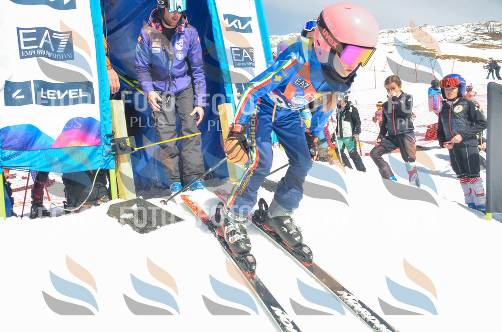 _ELE6298 | holidayphoto