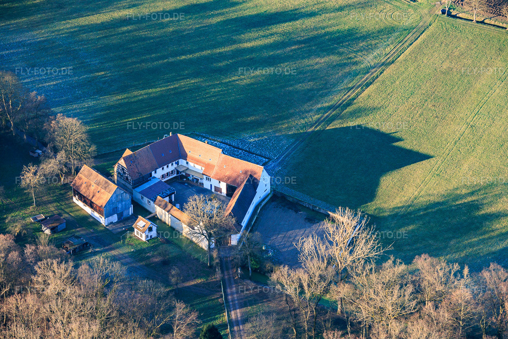 Luftbild: Herrenmühle am Erlenbach im Ortsteil Minderslachen in Kandel im Bundesland Rheinland-Pfalz in Deutschland. Foto: IMG_152613.jpg vom 31.12.2025 durch Werner Riehm/FLY-FOTO.de
