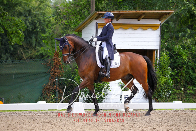 DKP41448 | Deine Turnierfotos vom Reitturnier online kaufen: Dressur, Springen & Siegerehrung. Professionelle Pferdefotografie aus dem Rheinland – als Download & Print.Alternative: Turnierfotograf für den Pferdesport: Finde deine Fotos von Dressur- und Springturnier