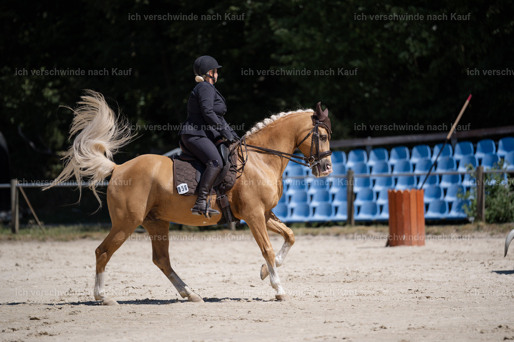 WM_ST_56_stoibphotography__SO11456 | working equitationturnier fotograf videograf stoibphotography marixx film working equitation deutschland reitsport turnierfotografie eventfotografie equestrian events