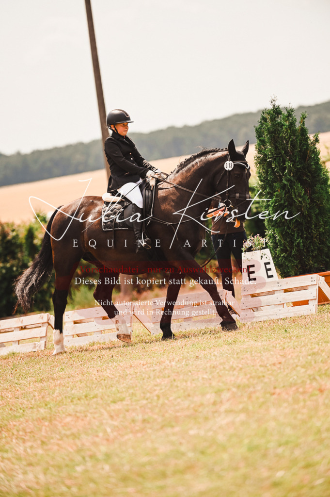 DSC_6374 | Pferde- und Turnierfotografie in Westsachsen. Pferdeportraits, Auftragszeichnungen und intuitive Kunst.