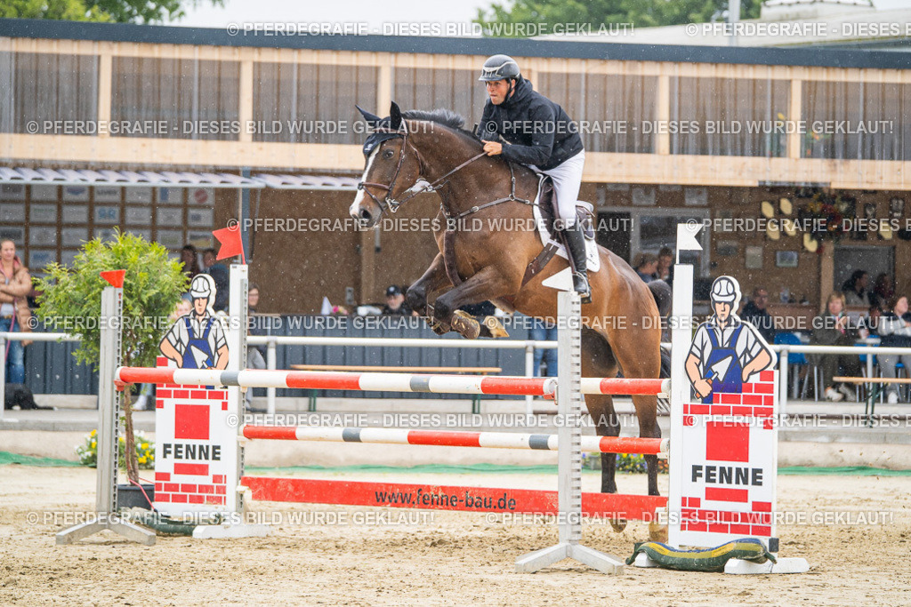 DSC02931 | Pferdegrafie