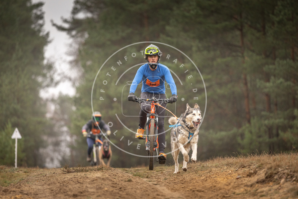 Pfotenfotografie_DV3A3193 | Hundefotografie, Tierfotograf, Pfotenfotografie, Fotoshooting Hund, Hunde Portrait, Hundesport, Hundeportraits, Heideshooting, Hunde, Sportfotograf, Hundefotograf, Turnierhundsport, THS,  - Realisiert mit Pictrs.com