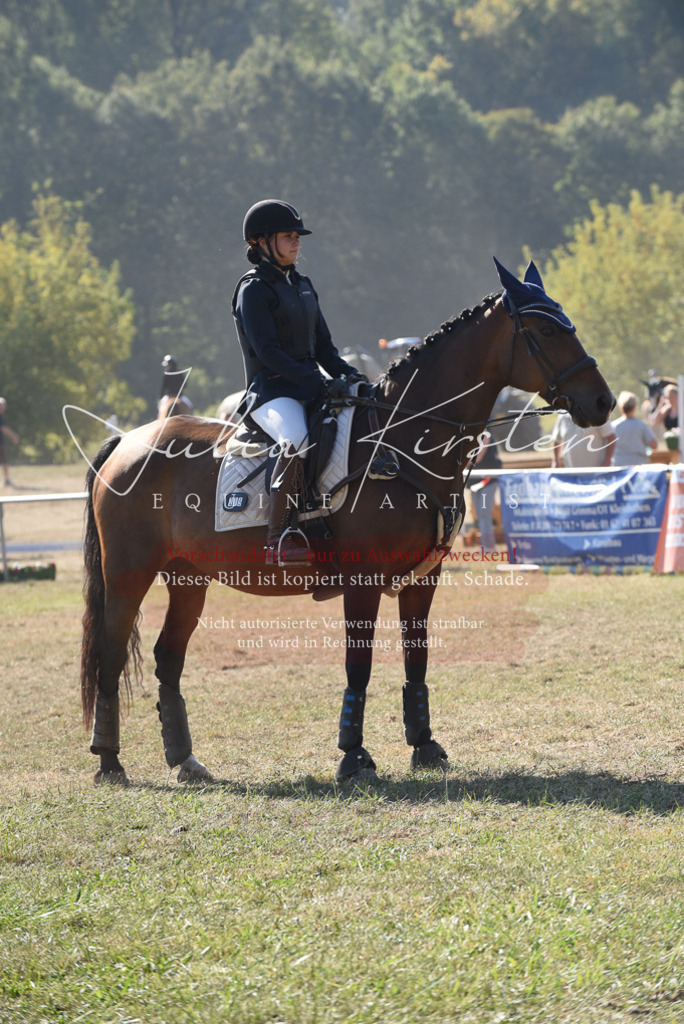 DSC_5971 | Pferde- und Turnierfotografie in Westsachsen. Pferdeportraits, Auftragszeichnungen und intuitive Kunst.