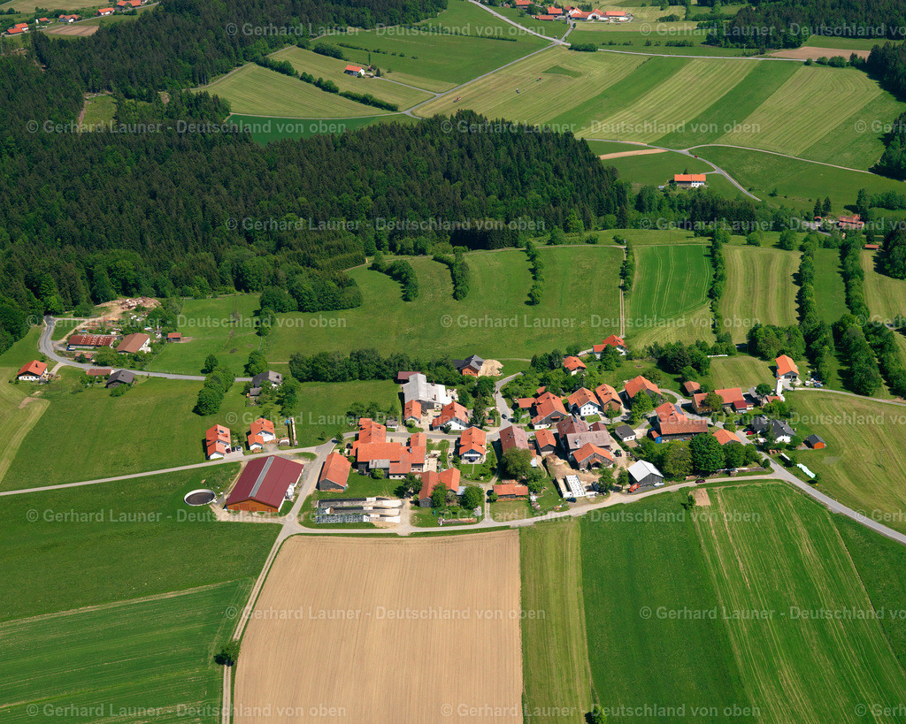 2724912 | Schlag bei Schöfweg