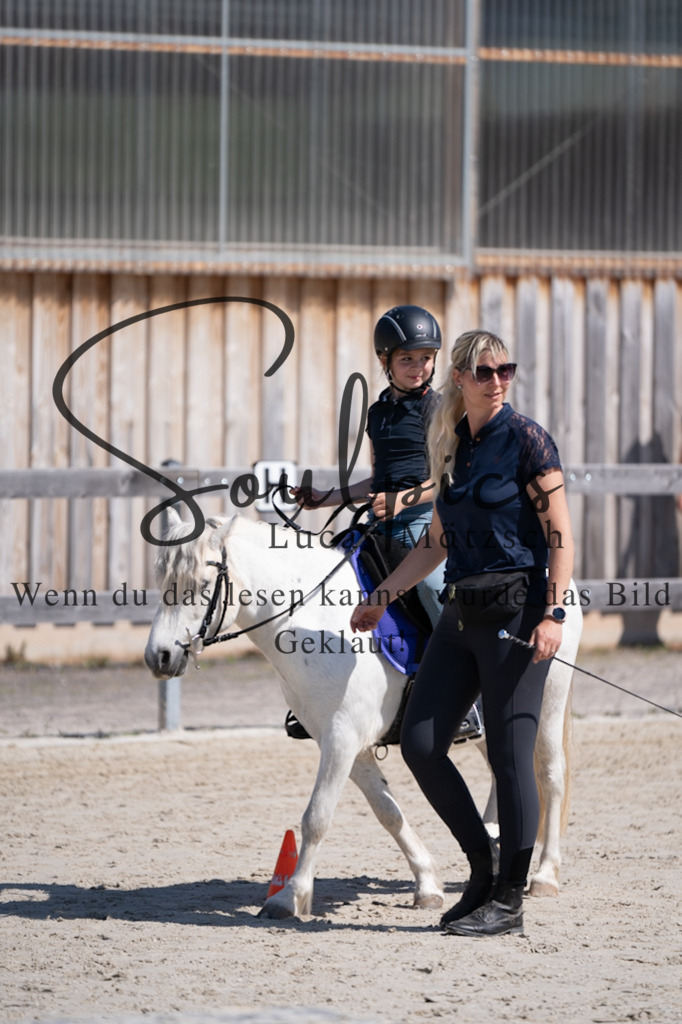 A7V01784 | Pferdefotograf