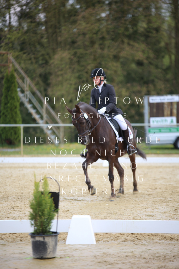 IMGT5997 | pl-fotografie