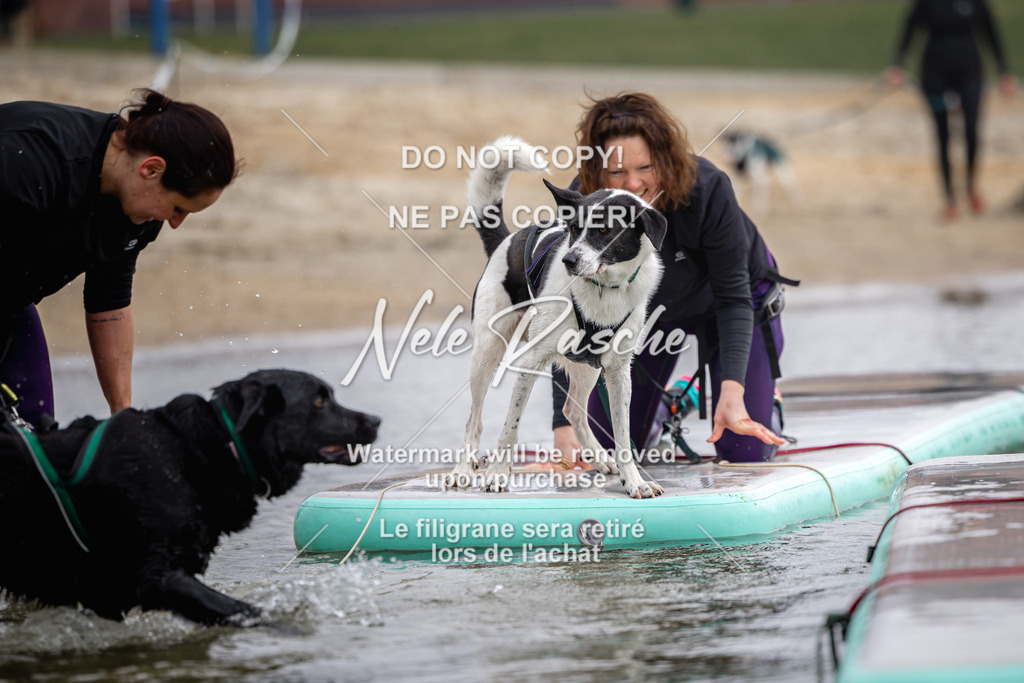 nelerasche_Hulsbeek_Sa1130-1230_644 | nelerasche