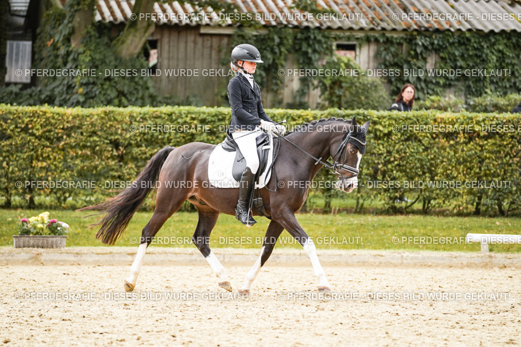 DSC00202 | Pferdegrafie