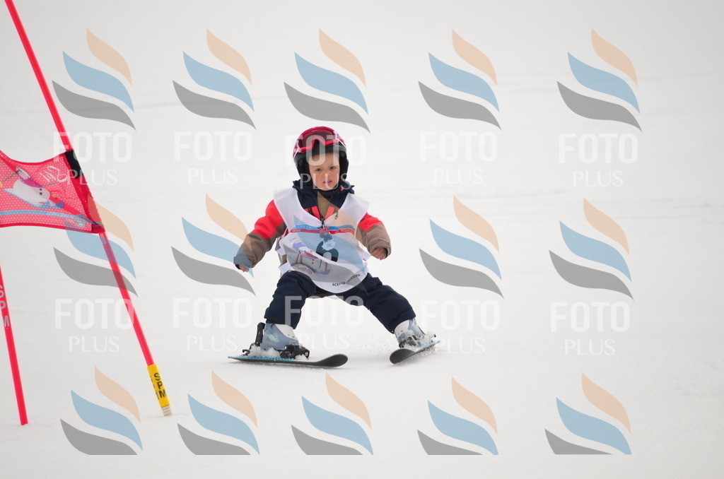 B9138 | holidayphoto