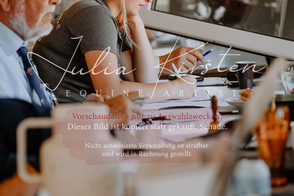 DSC_2001 | Pferde- und Turnierfotografie in Westsachsen. Pferdeportraits, Auftragszeichnungen und intuitive Kunst.