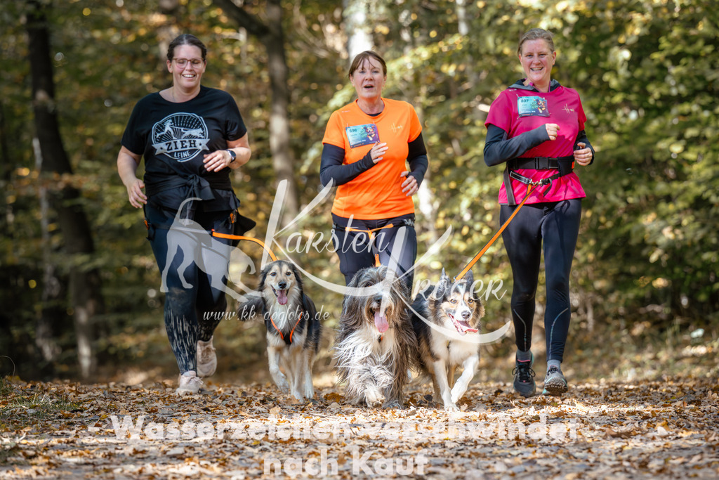 1247_ZZ96235 | kk-dogfotos