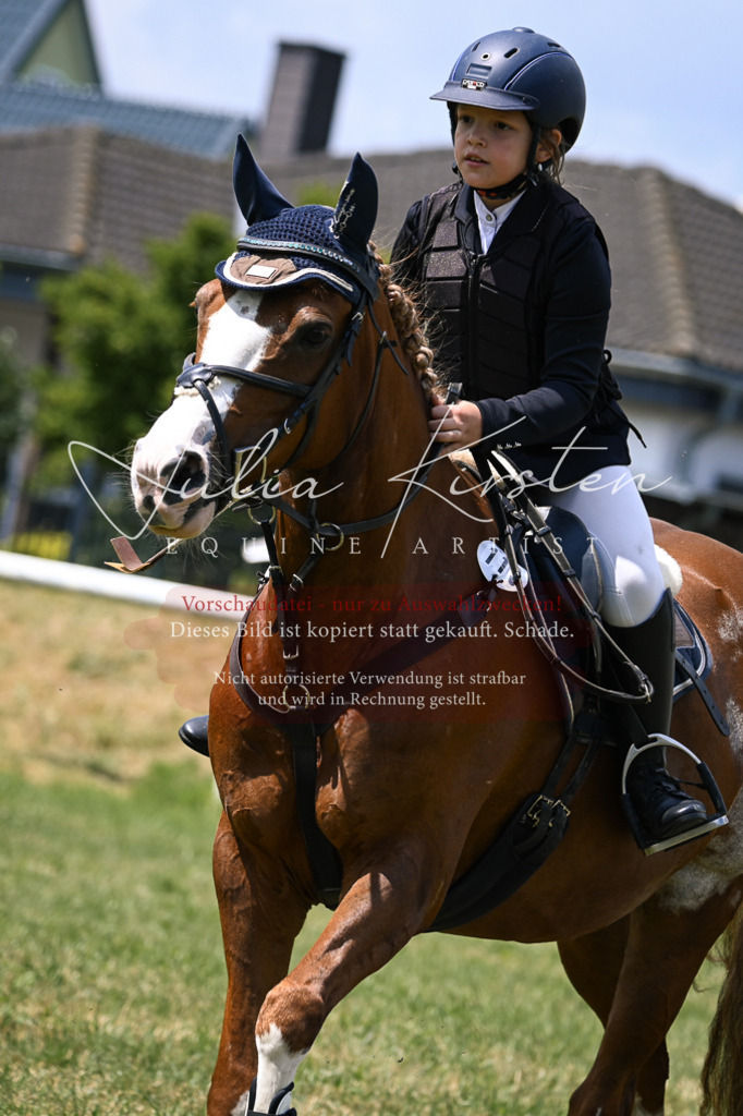 DSC_9221 | Pferde- und Turnierfotografie in Westsachsen. Pferdeportraits, Auftragszeichnungen und intuitive Kunst.