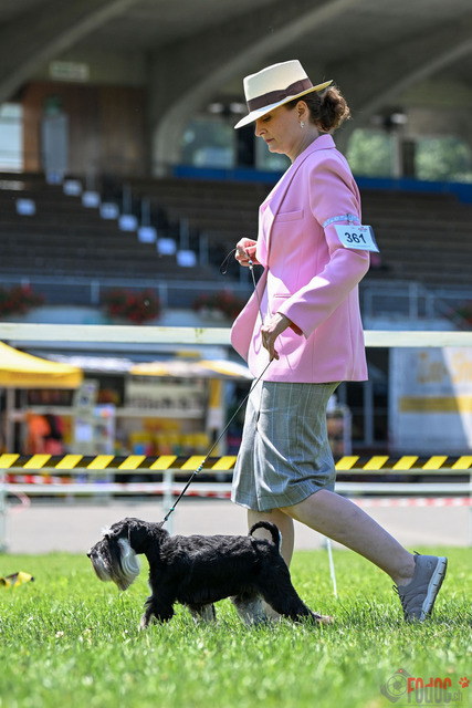 Dogshow CACIB Samstag in Aarau | Dogshow CACIB Samstag in Aarau. 24.06.2023 Foto: LeoWyden
