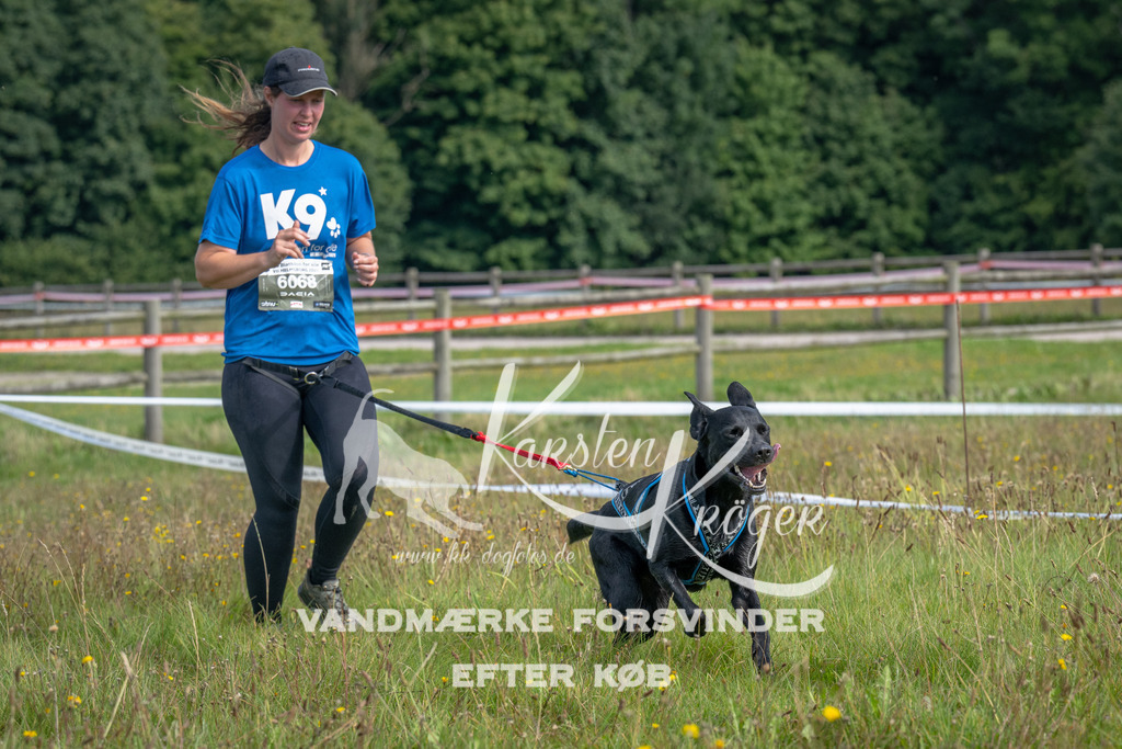 1156_ZZ90584 | kk-dogfotos