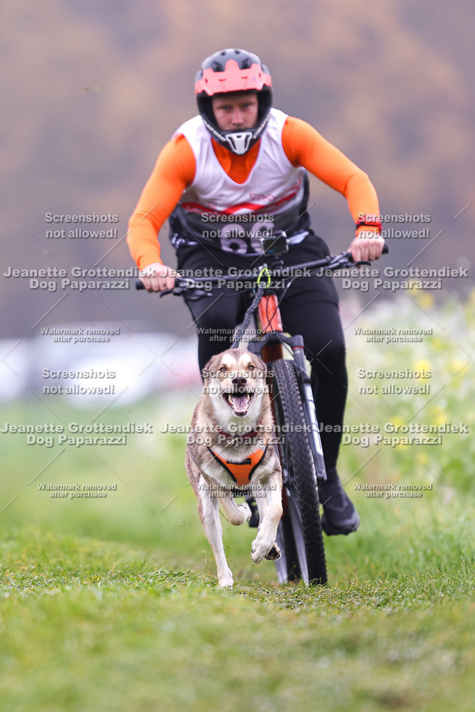 Dog Paparazzi - Visbeck 25 -172 | Dog Paparazzi Jeanette Grottendiek Fotografie & Videografie - Realisiert mit Pictrs.com