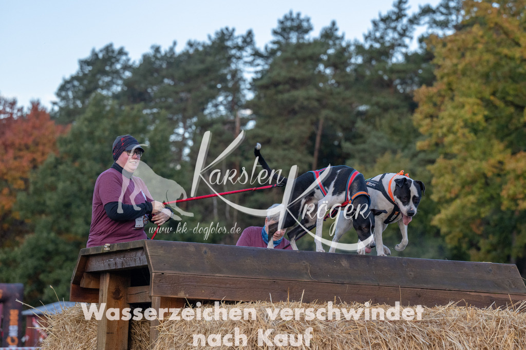 0826_ZZ90680 | kk-dogfotos