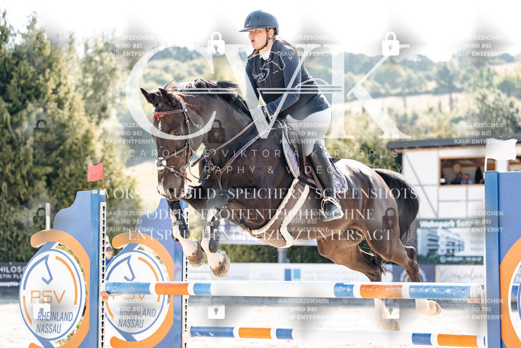 CK902495 | Turnierfotografie Pferdefotografie Trier Rheinland-Pfalz Pferdesport Reitsport Tierfotografie Sportfotografie Pferdevideo Pferdevideografie Equestrianvideography equestrianphotography  - Realisiert mit Pictrs.com