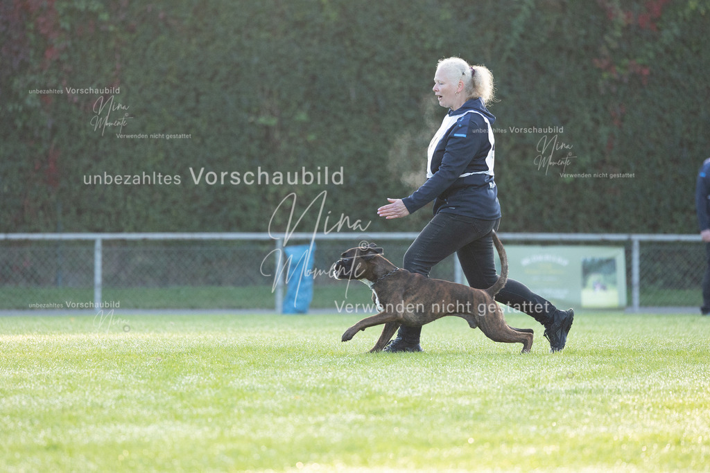 _16A5976 | Einzigartige Fotos von Hunden & Menschen –Actionfotos, Portraits, Vereinsaufnahmen & Paarshootings – authentisch, lebendig & mit Herz.