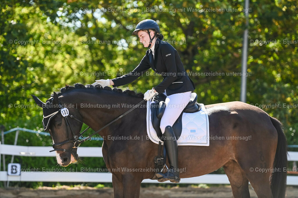 20230715_06_Dressurpferdeprfg. Kl.A_0383 | equistock