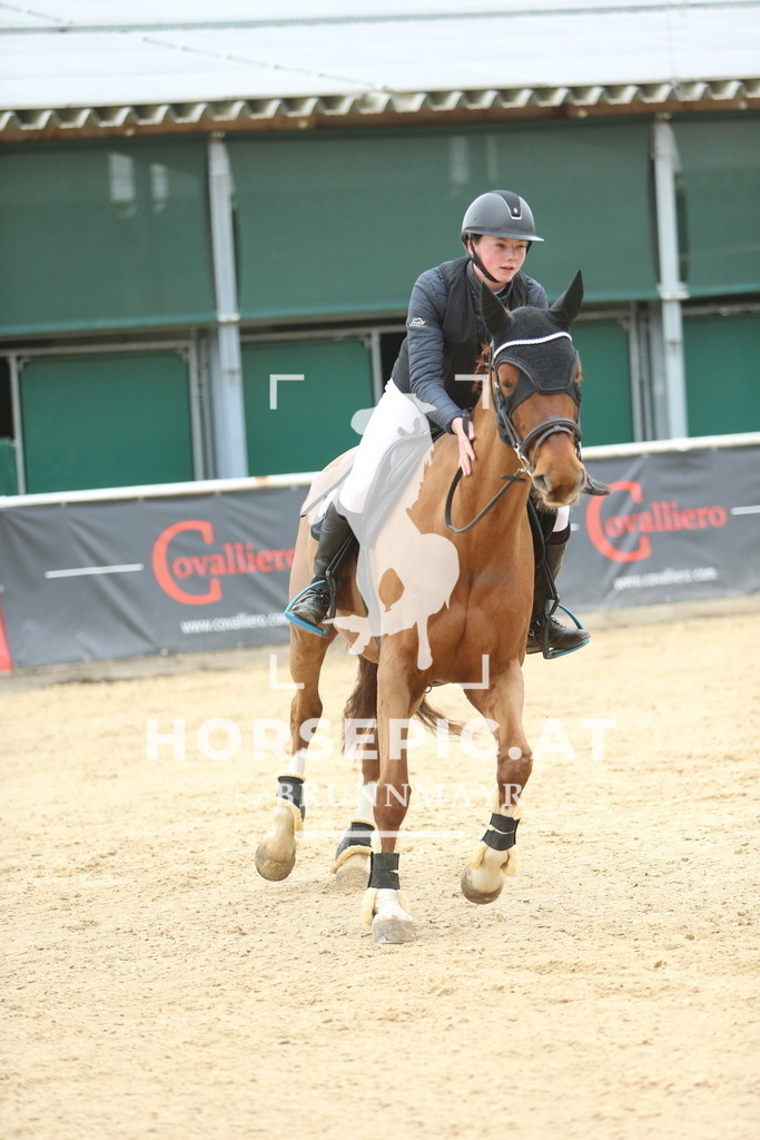 DL2Q6553 | Willkommen bei Brunnmayr - Design & Fotografie – Ihrem Spezialisten für Reitturniere und Pferdeveranstaltungen in Oberösterreich, Salzburg und Bayern! Seit über 17 Jahren sind wir leidenschaftlich dabei.