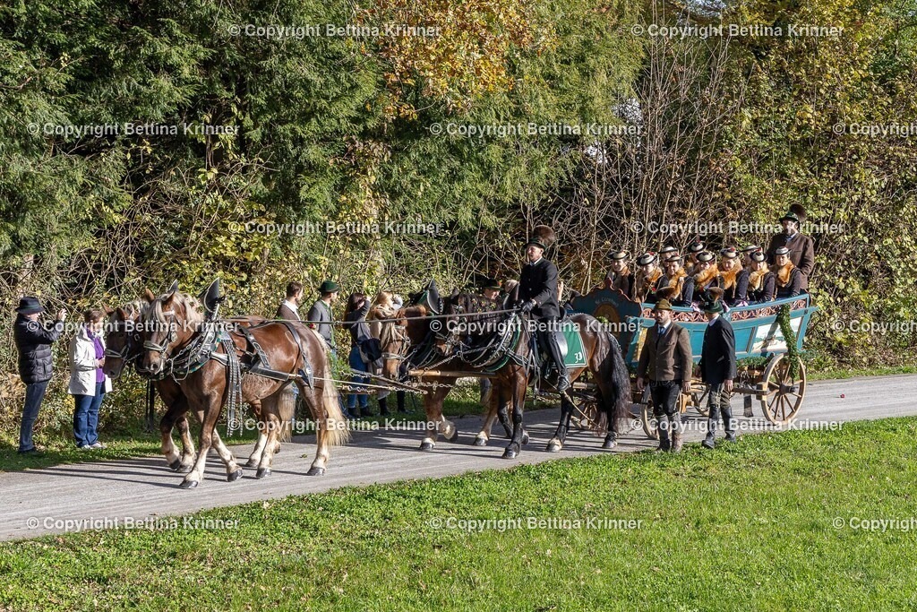 LBT24-398 | foto-bettina-krinner - Realisiert mit Pictrs.com