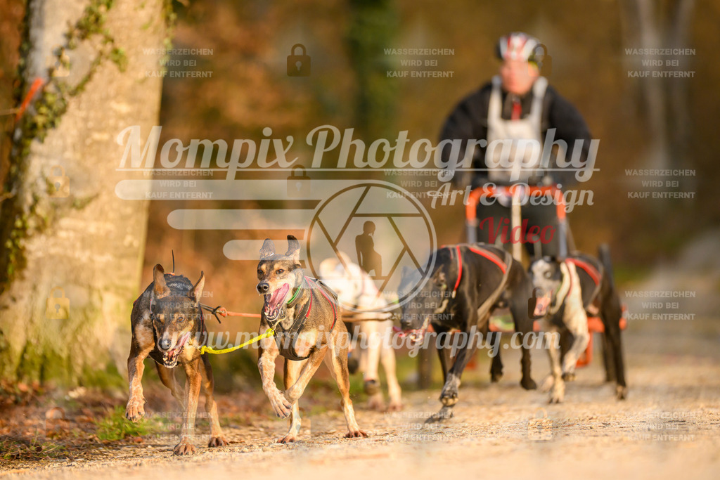 MompixPhotography_6ReiatRennen2026_SO_Kart-11 | PayLife