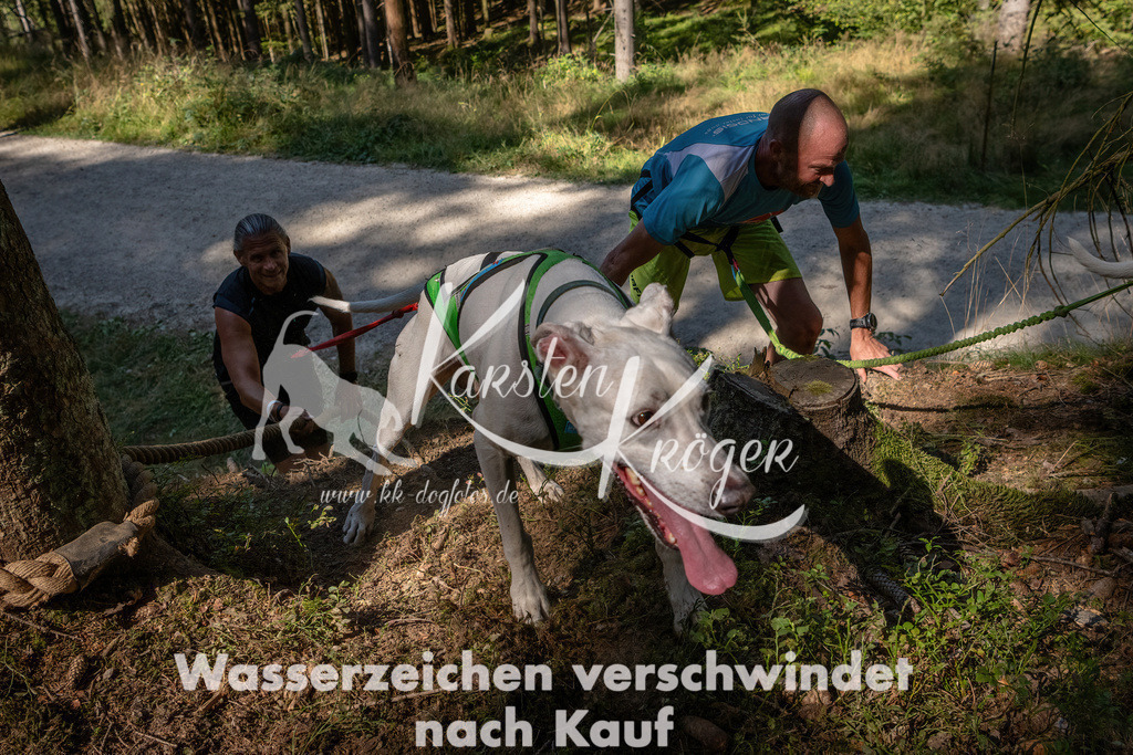 1238_ZZ94719 | kk-dogfotos