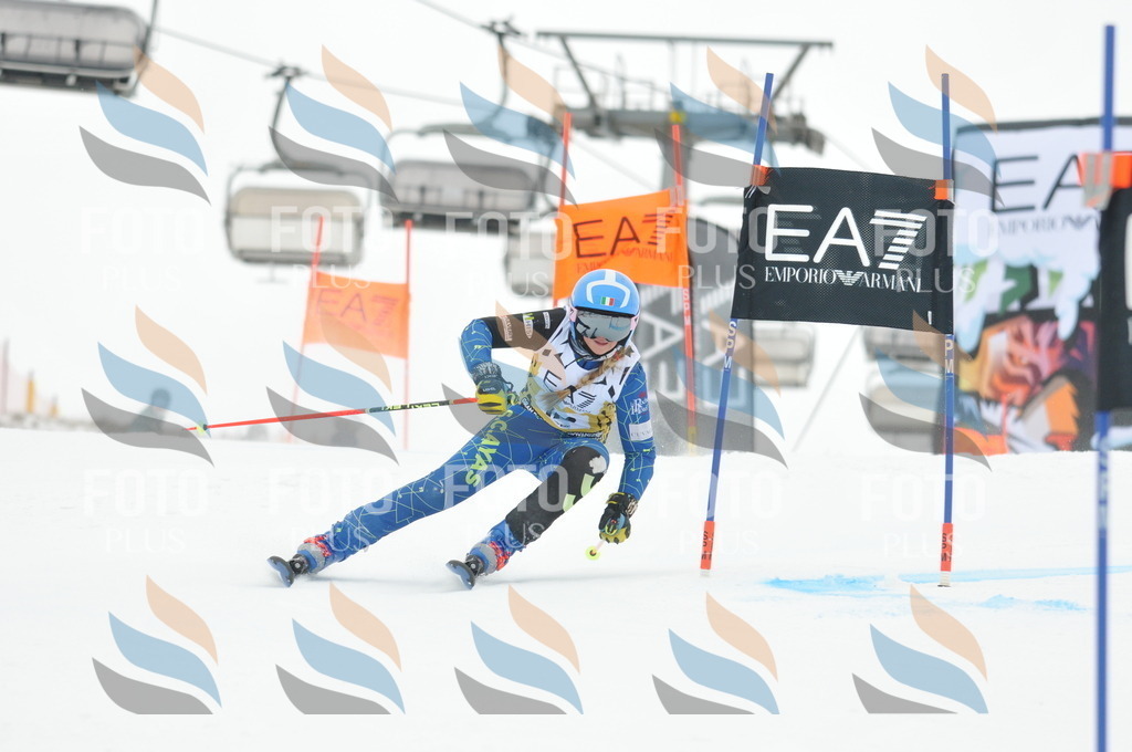 DSC_8178 | holidayphoto