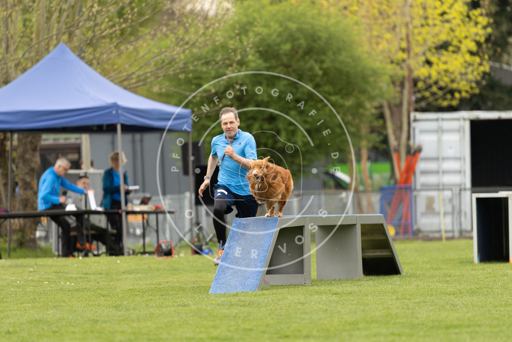 Pfotenfotografie_DV3A8851 | Hundefotografie, Tierfotograf, Pfotenfotografie, Fotoshooting Hund, Hunde Portrait, Hundesport, Hundeportraits, Heideshooting, Hunde, Sportfotograf, Hundefotograf, Turnierhundsport, THS,  - Realisiert mit Pictrs.com