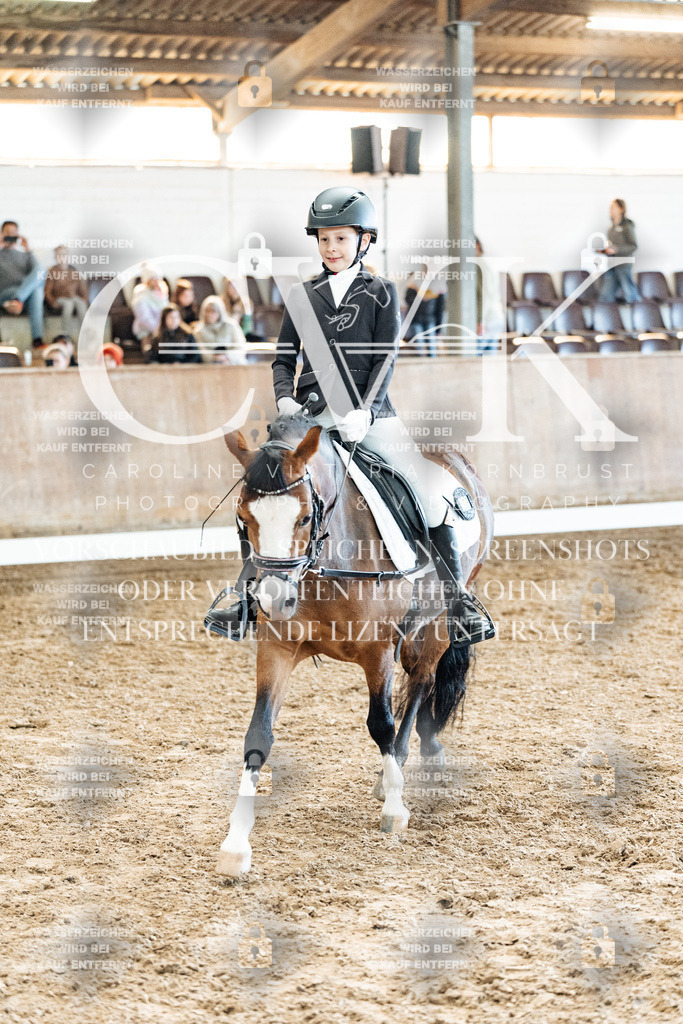 CK900378 | Turnierfotografie Pferdefotografie Trier Rheinland-Pfalz Pferdesport Reitsport Tierfotografie Sportfotografie Pferdevideo Pferdevideografie Equestrianvideography equestrianphotography  - Realisiert mit Pictrs.com