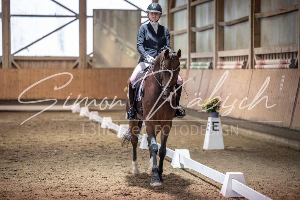 20251011-_3LI2127 | Tierfotografie Pferde, Hunde, Katzen, Haustiere.
Turnierfotografie Reitturniere, Reiten, Springreiten, Dressur in Hanau, dem Main-Kinzig-Kreis und dem Rhein-Main- Gebiet um Frankfurt