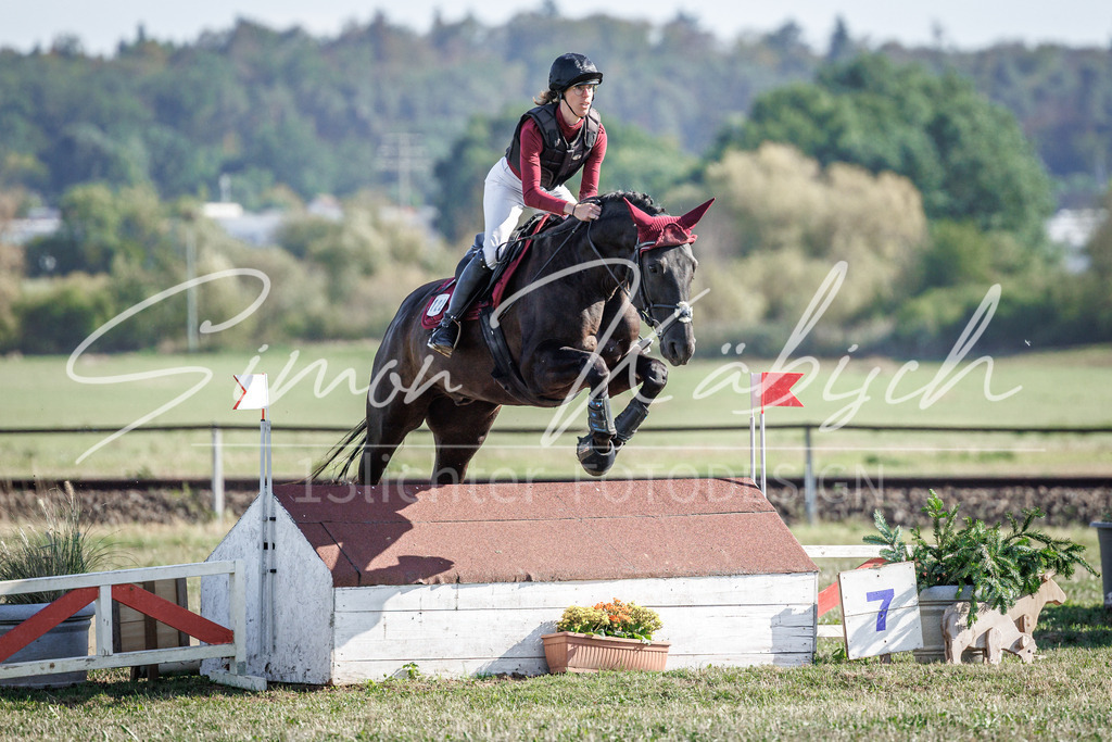 20260905-_3LI0213 | Tierfotografie Pferde, Hunde, Katzen, Haustiere.
Turnierfotografie Reitturniere, Reiten, Springreiten, Dressur in Hanau, dem Main-Kinzig-Kreis und dem Rhein-Main- Gebiet um Frankfurt