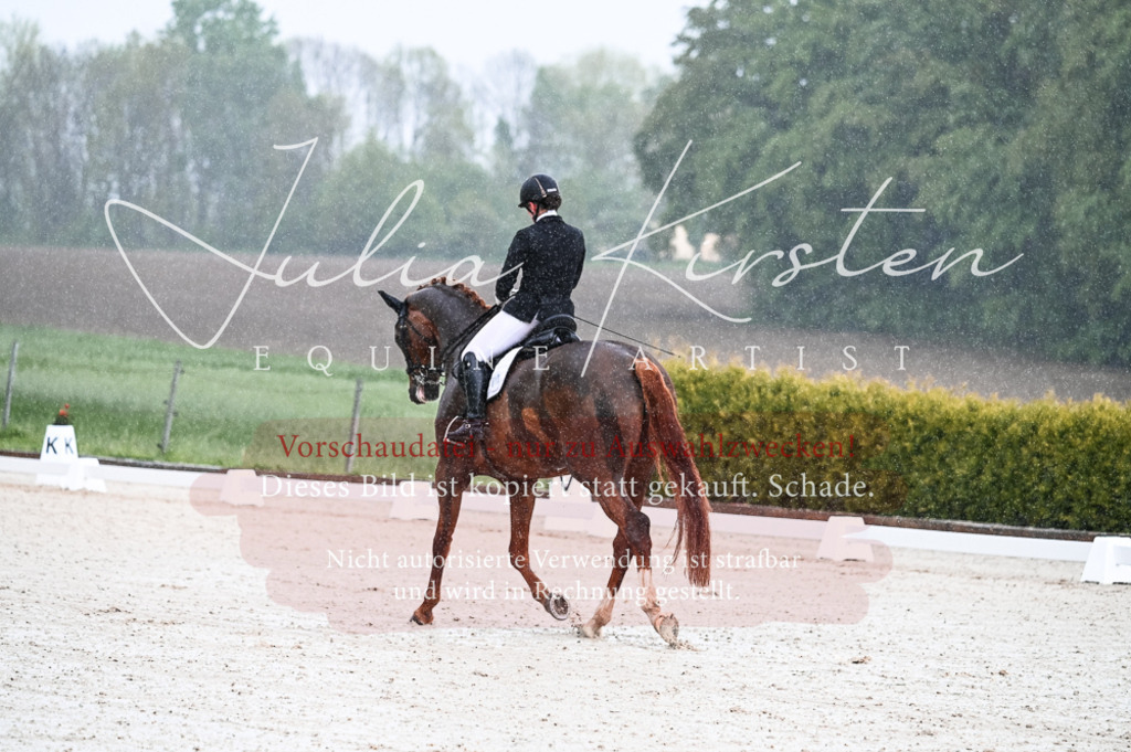 DSC_4100 | Pferde- und Turnierfotografie in Westsachsen. Pferdeportraits, Auftragszeichnungen und intuitive Kunst.