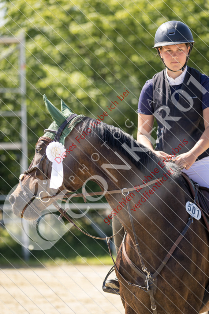 IMG_3519 | Sport-, Event- und Tierfotos in Profiqualität. Einfach auswählen, bestellen und herunterladen. Dein Moment – perfekt festgehalten.