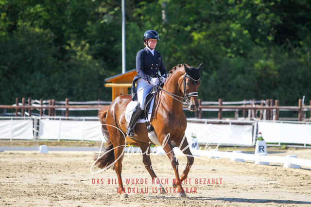 DKP42678 | Turniersportfotografie; Pferdefotografie; Dressurfotografie