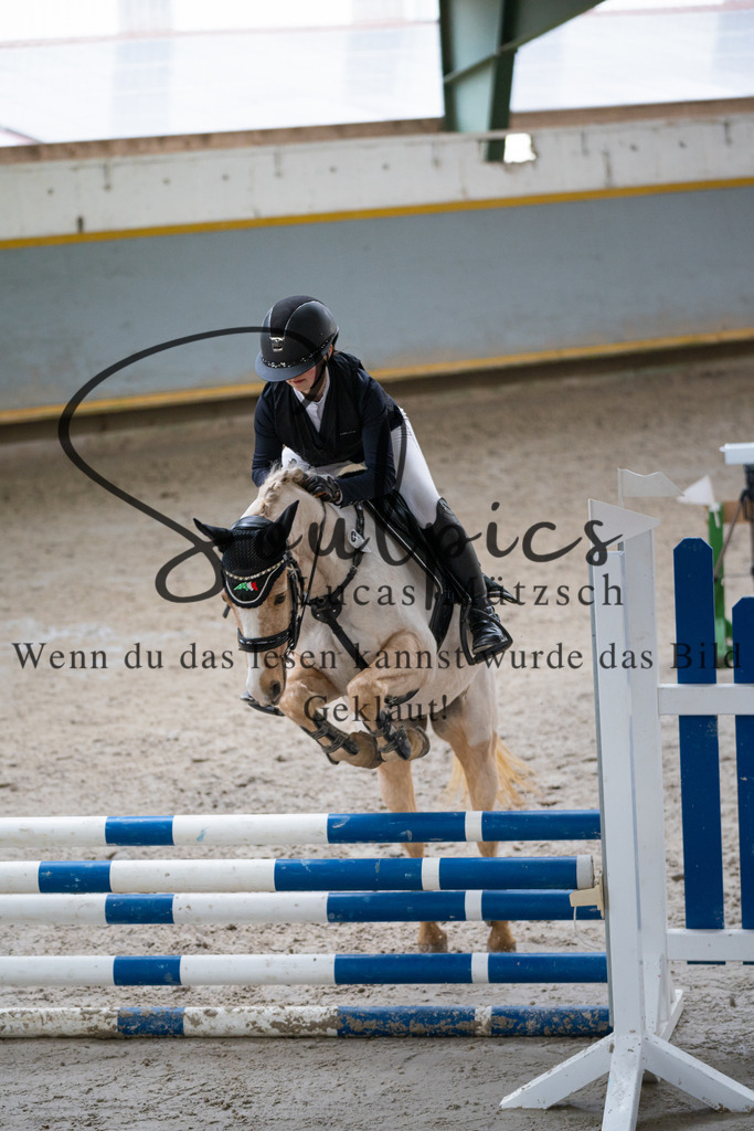 A7V01137 | Pferdefotograf