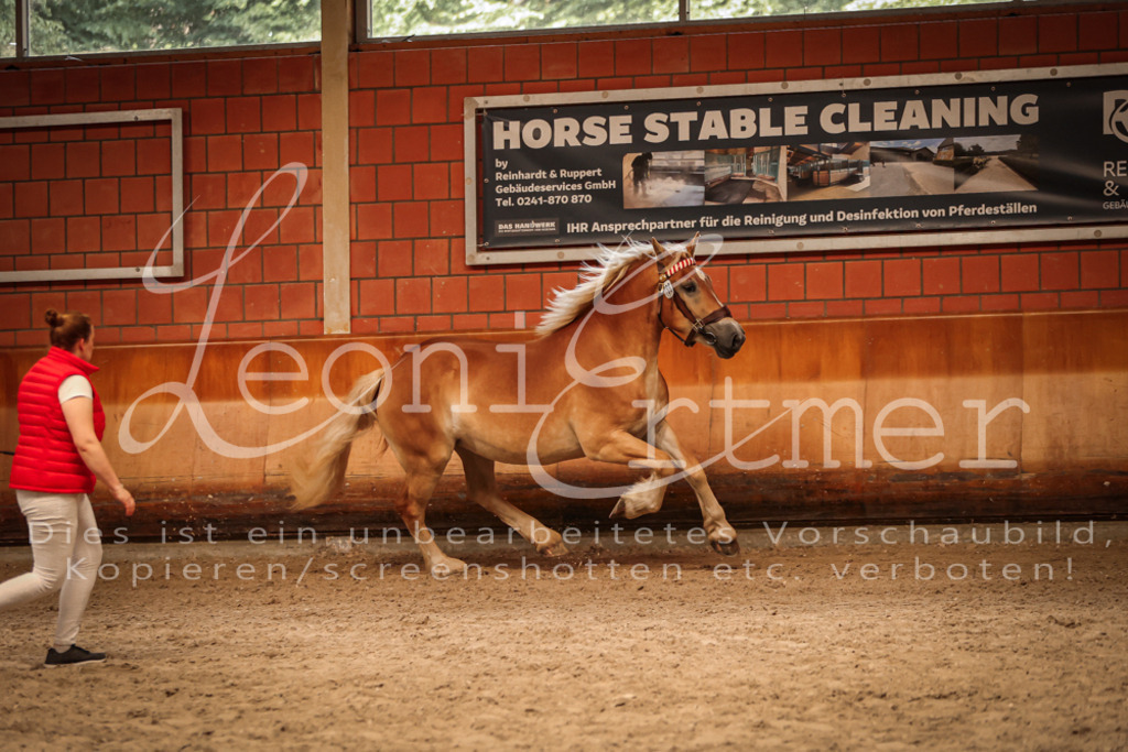 SaFL00214 | Leoni Ertmer Photography - Realisiert mit Pictrs.com