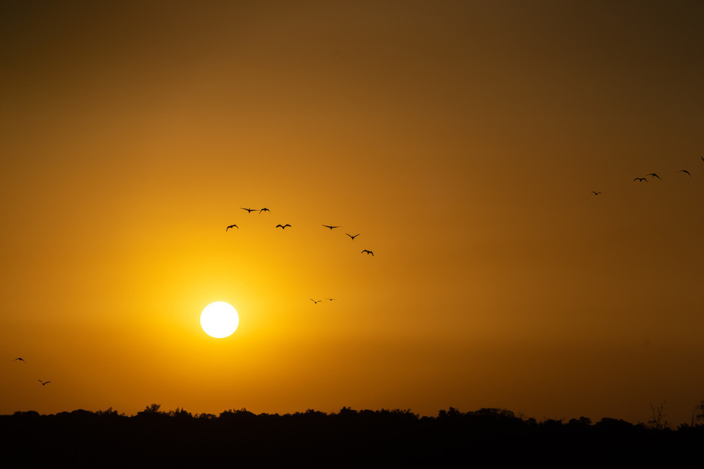 20251114-DeltaTour-0023 | paulependelt - Realisiert mit Pictrs.com