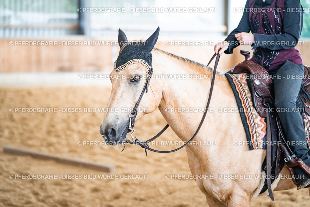 DSC02674 | Pferdegrafie