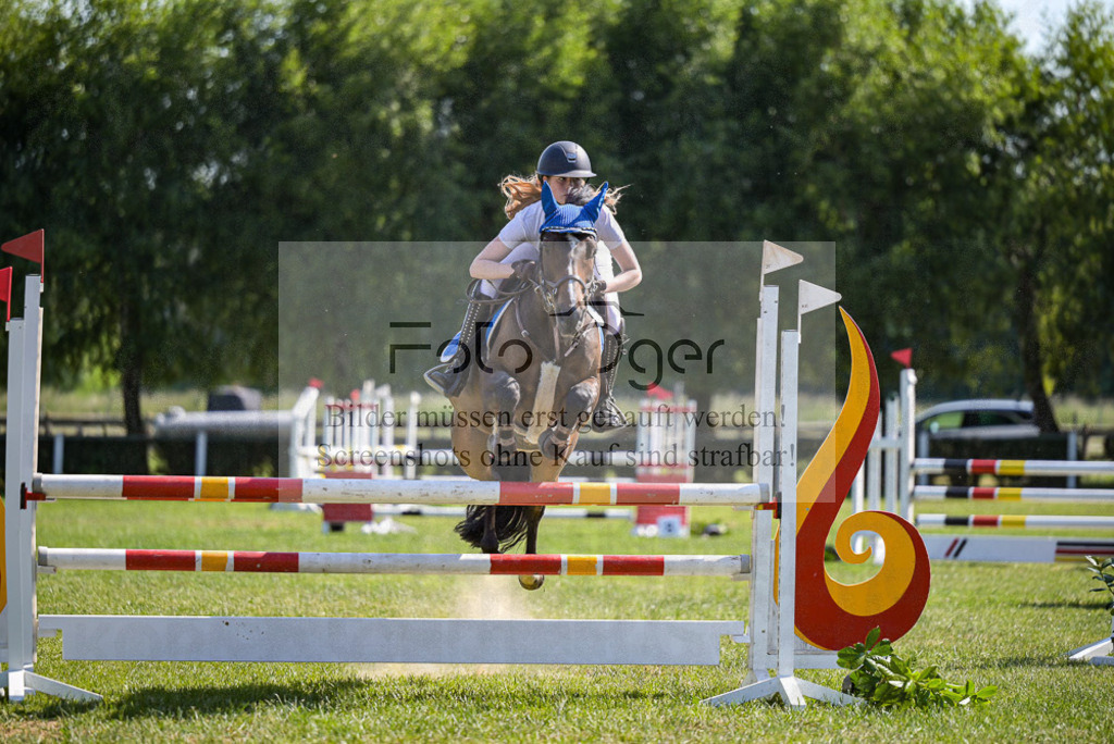 Reitturnier Voxtrup | Entdecke hochwertige Reitturnierfotos von Foto Oger. Professionell, emotional und authentisch – jetzt Lieblingsmomente im Shop bestellen.Deutschlandweite Turnierfotografie. - Realisiert mit Pictrs.com