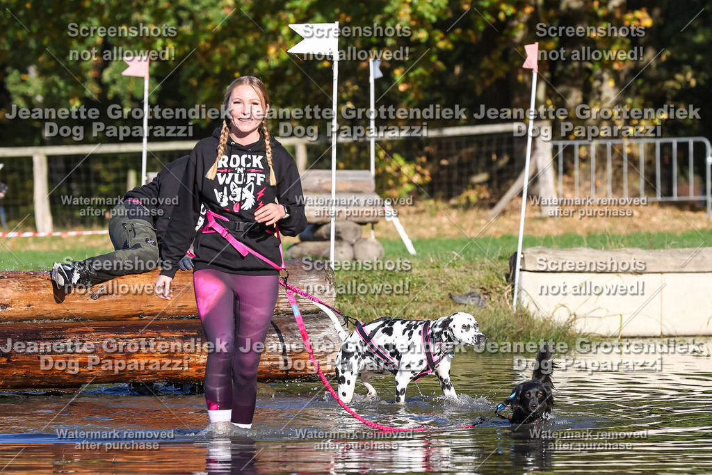 Dog Paparazzi - Strongdog 10-25-8760 | Dog Paparazzi Jeanette Grottendiek Fotografie & Videografie - Realisiert mit Pictrs.com