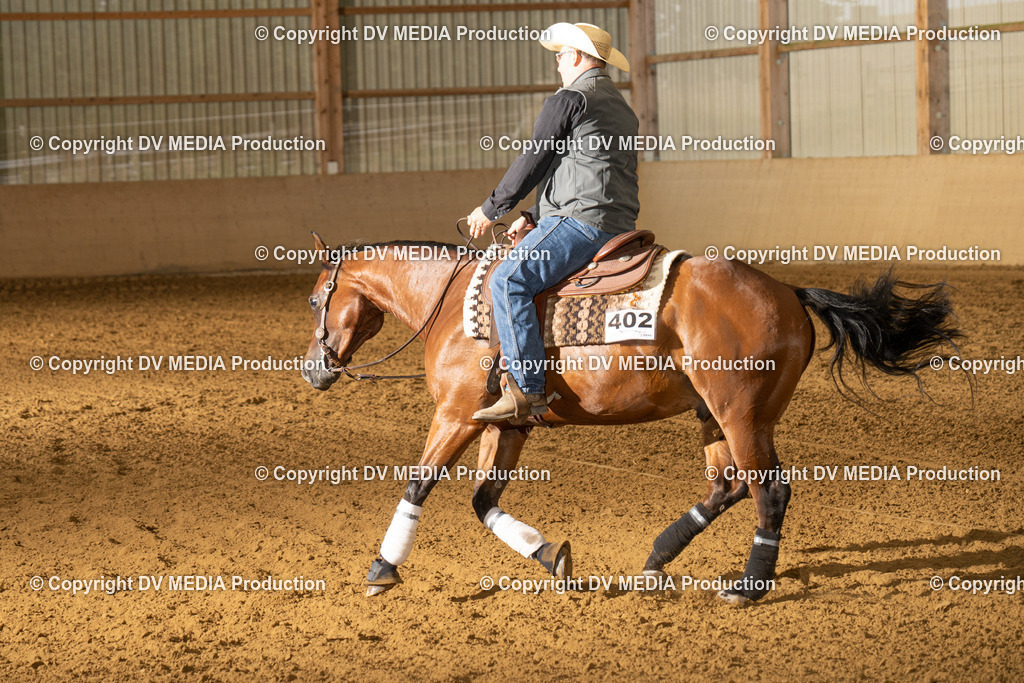 LAU01342 | dv-media-shop - Realisiert mit Pictrs.com